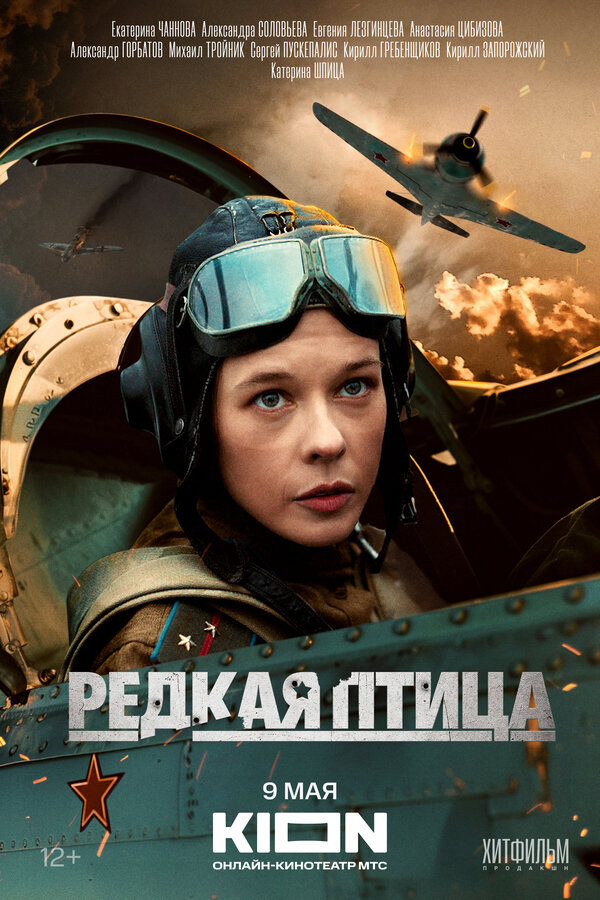 Редкая птица - постер